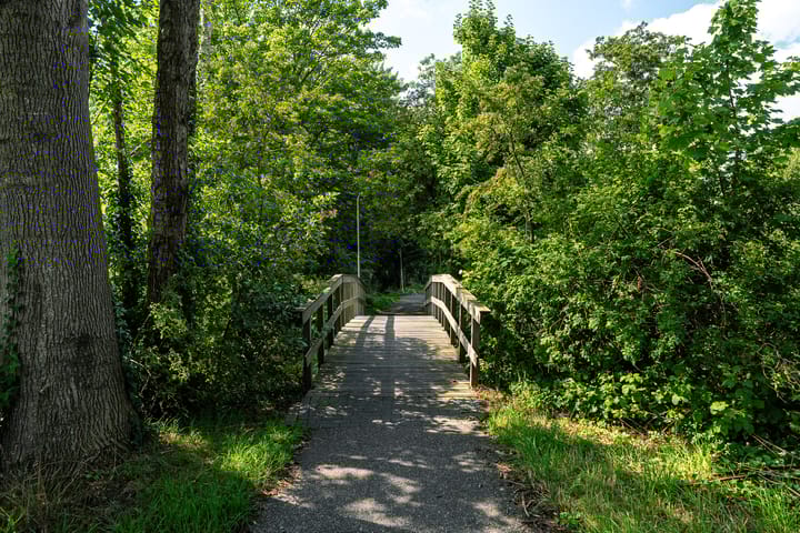 Photo 98 of Hounsdyk 6