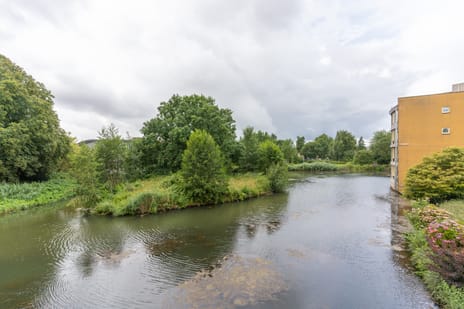 Dixielanddreef 5 tertiary image