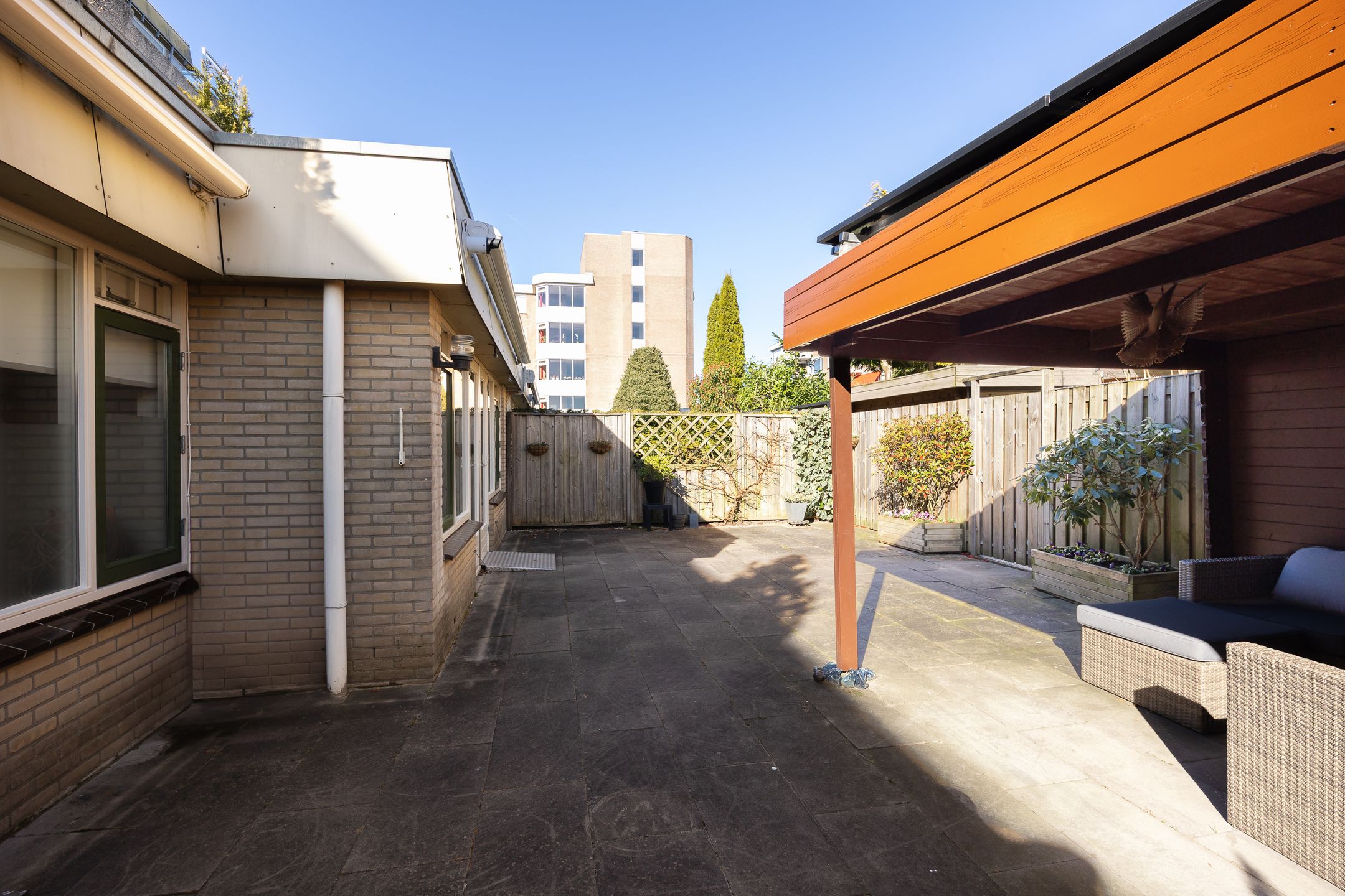 Photo 18 of Dorser 12