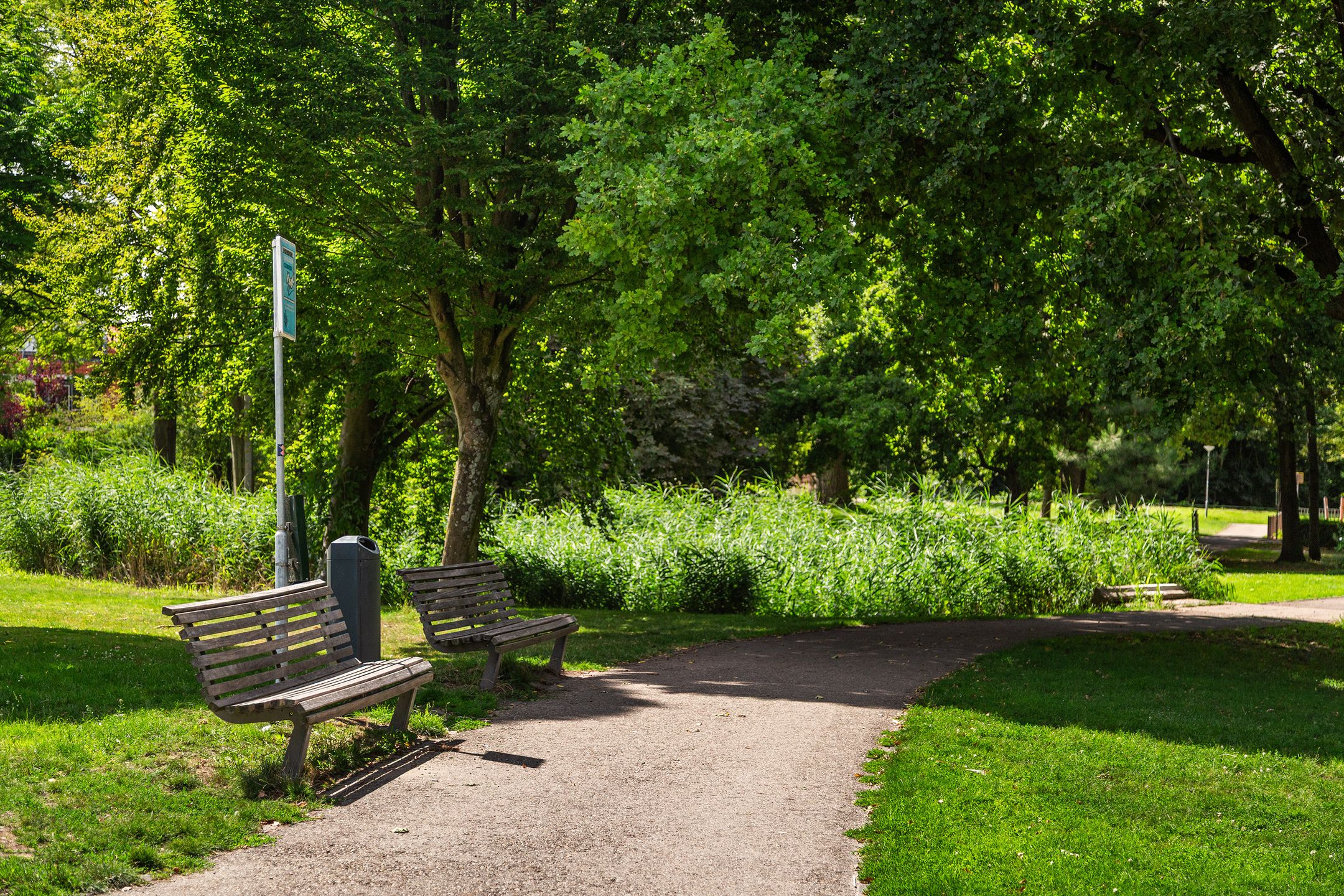 Foto 42 van Robijnstraat 3-BBOL