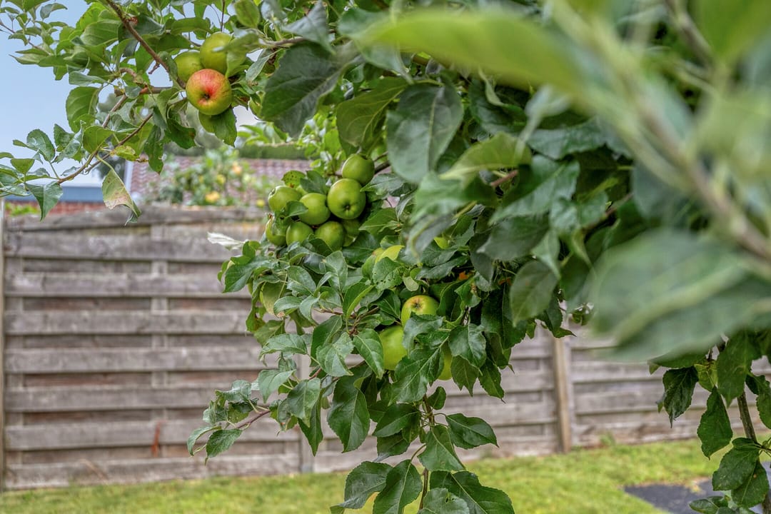 Foto 11 van Helmissenstraat 10