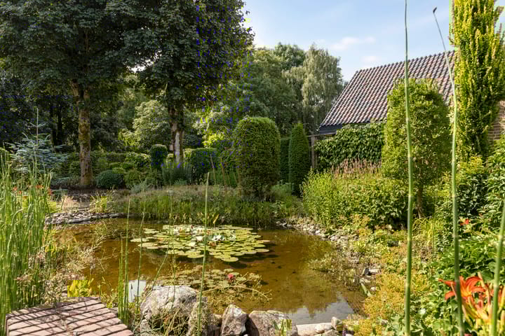 Foto 50 van Wehmestraat 12