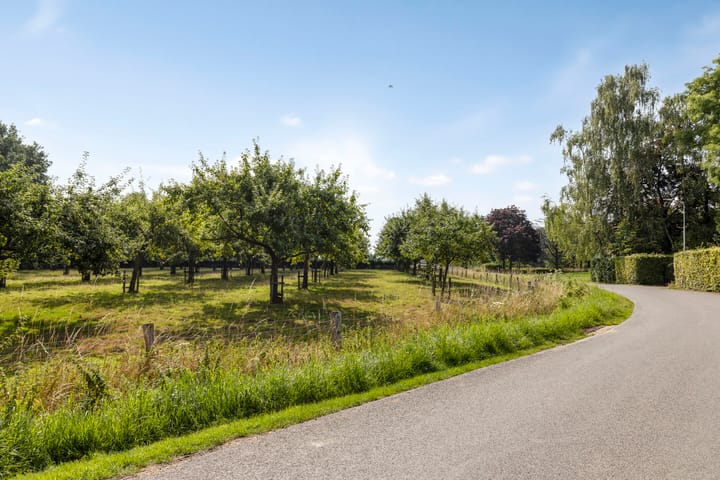 Foto 63 van Wehmestraat 12