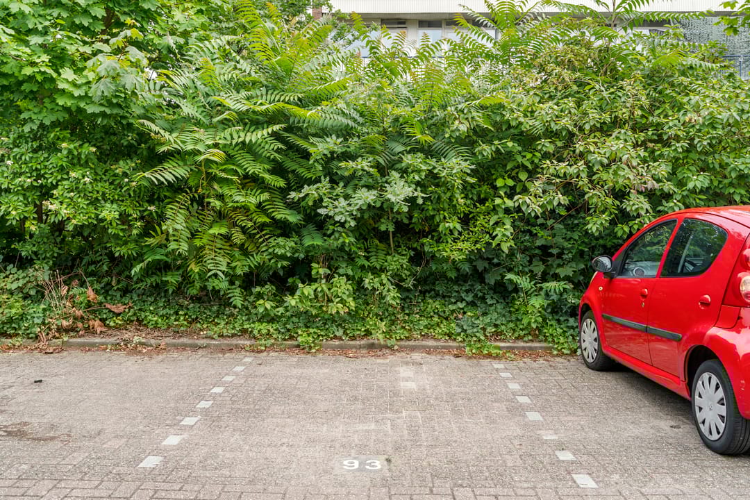 Foto 26 van Jan Th. Tooroplaan 93