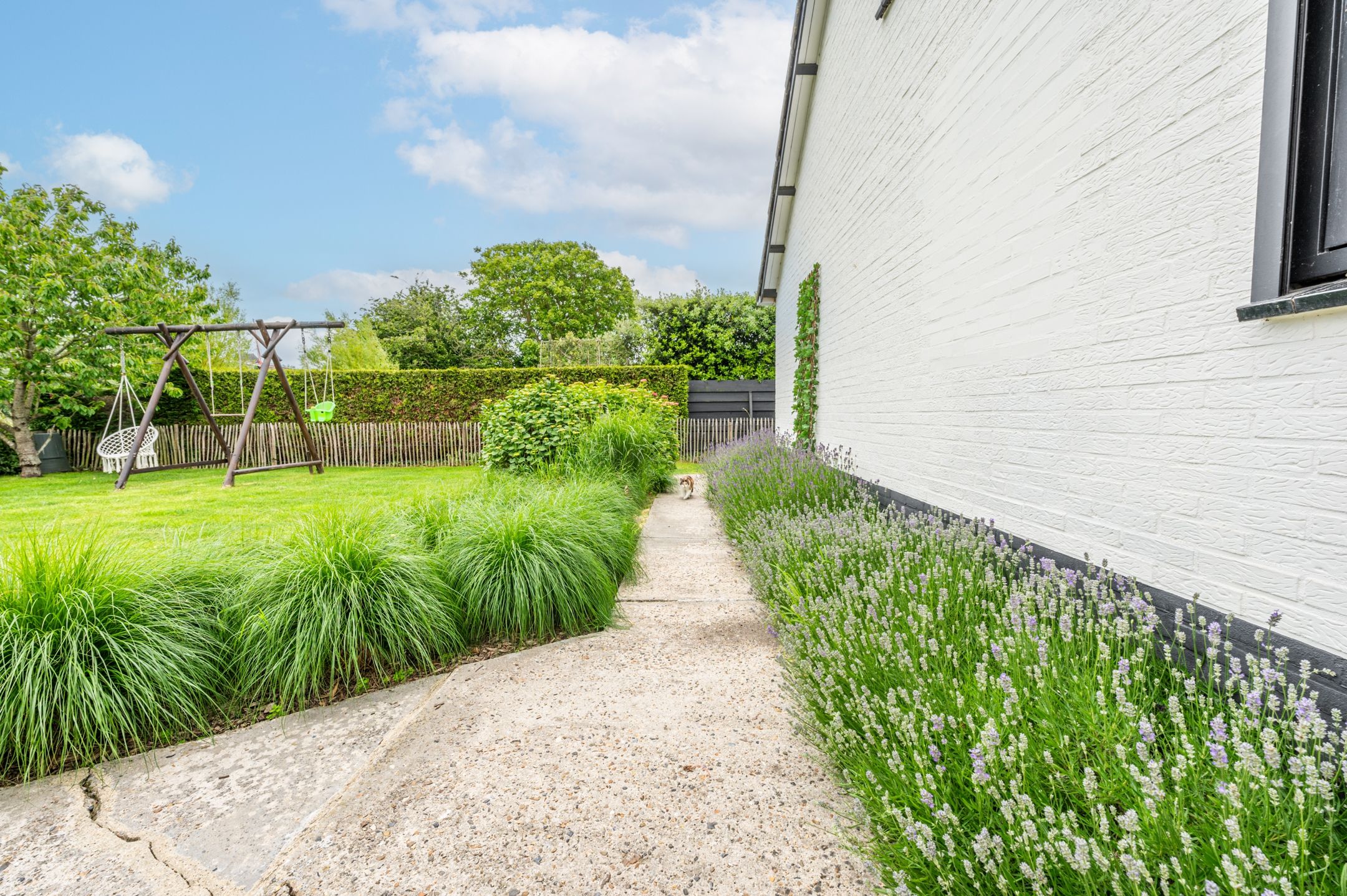 Foto 24 van Noordstraat 18