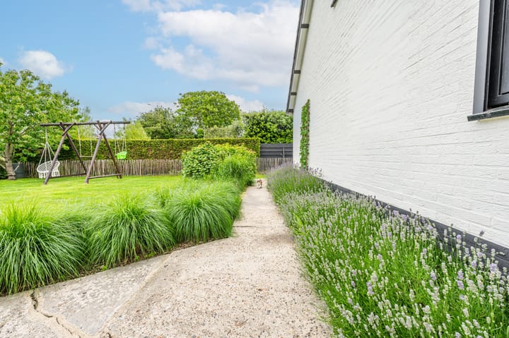 Foto 24 van Noordstraat 18