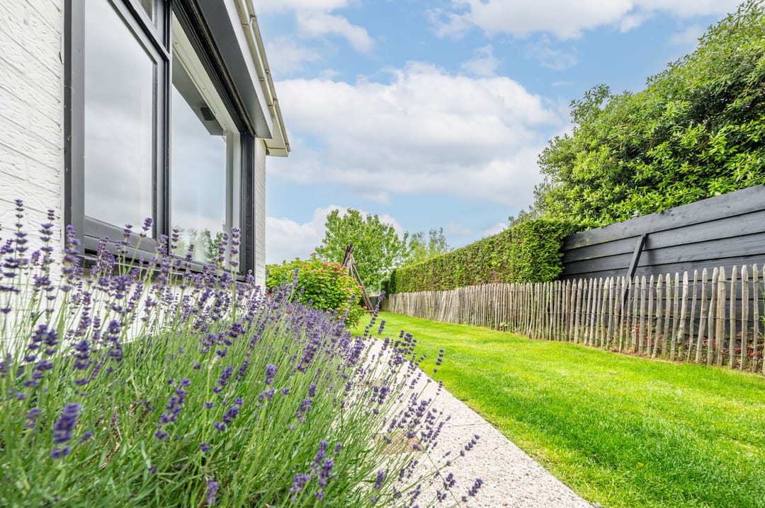 Foto 17 van Noordstraat 18