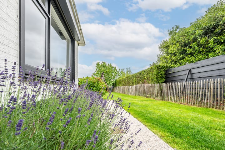 Foto 17 van Noordstraat 18