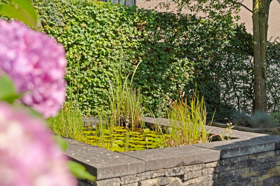 Photo 41 of Derk Mulderweg 44