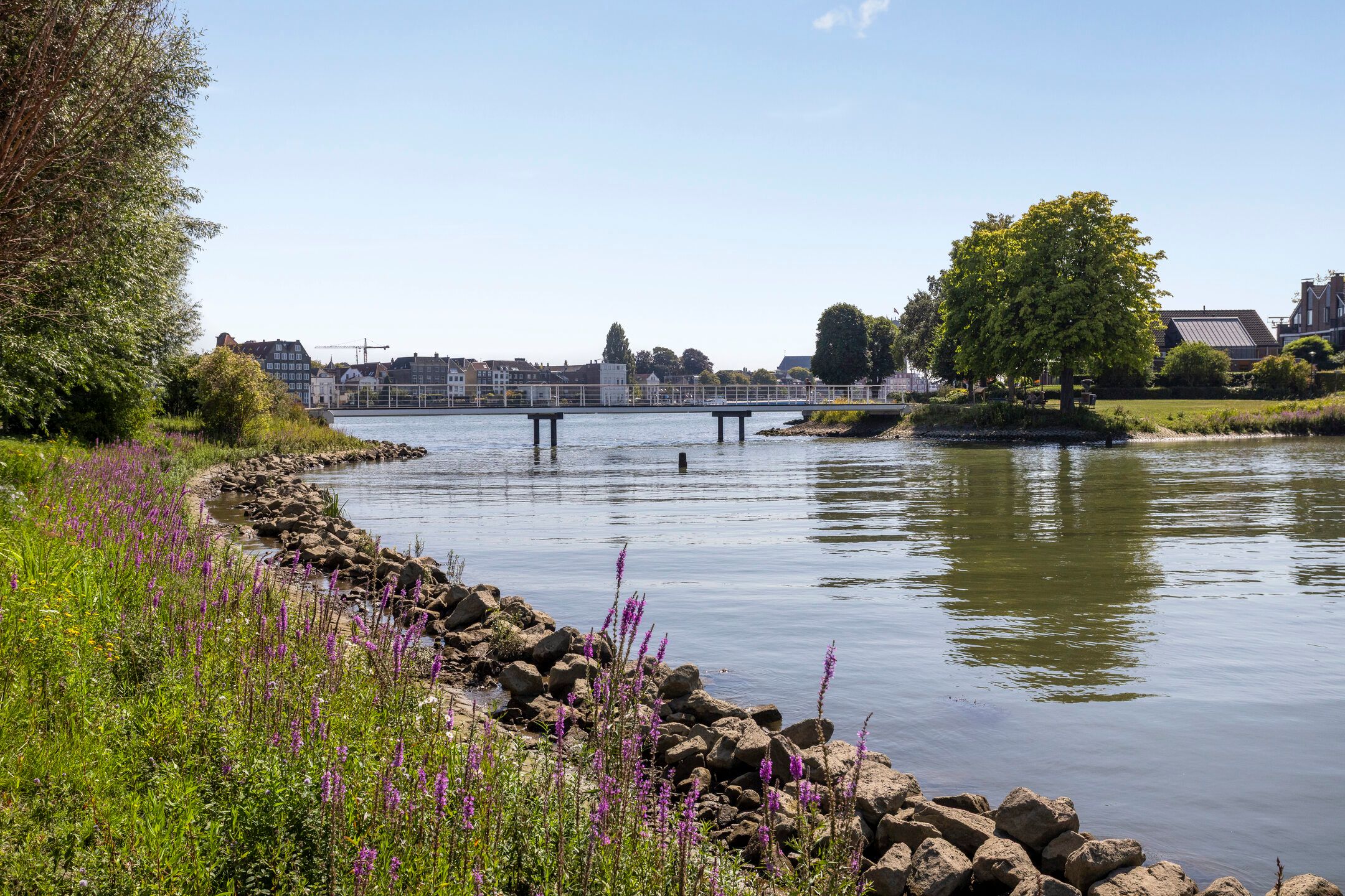 Foto 6 van Noordpark 12