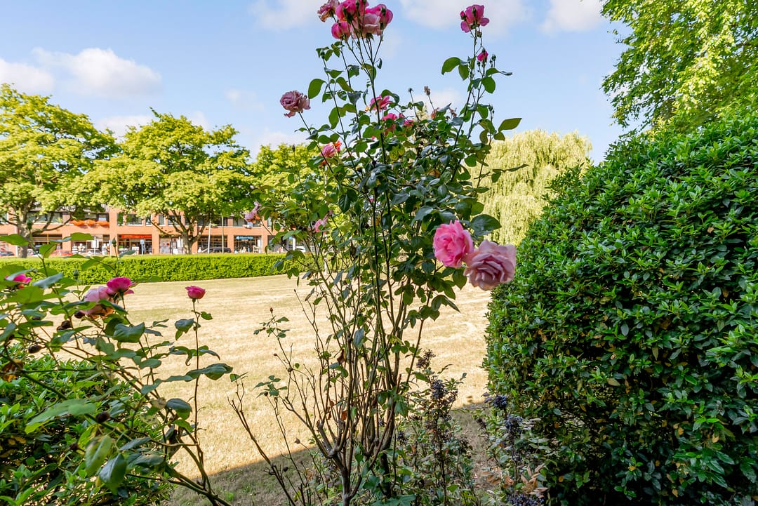 Foto 23 van Amersfoortsestraatweg 22