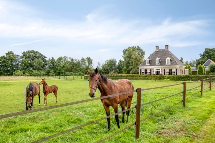 Foto 71 van Bollenweg 5