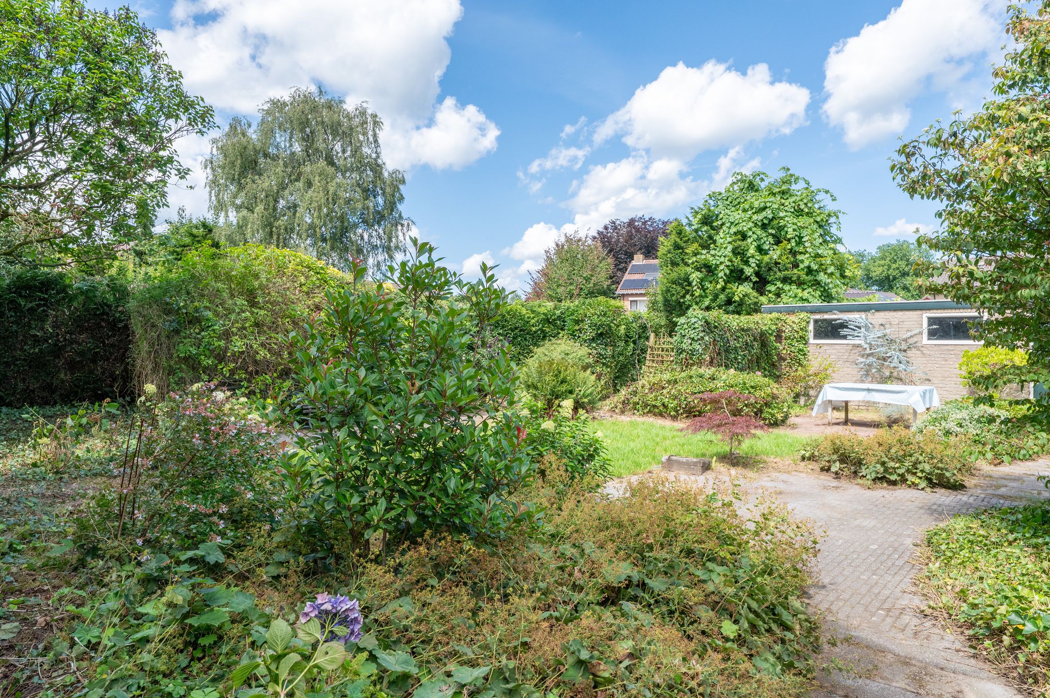 Foto 39 van Leijsbornstraat 8