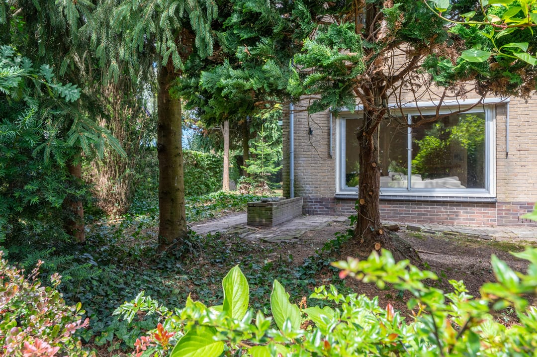 Foto 41 van Leijsbornstraat 8