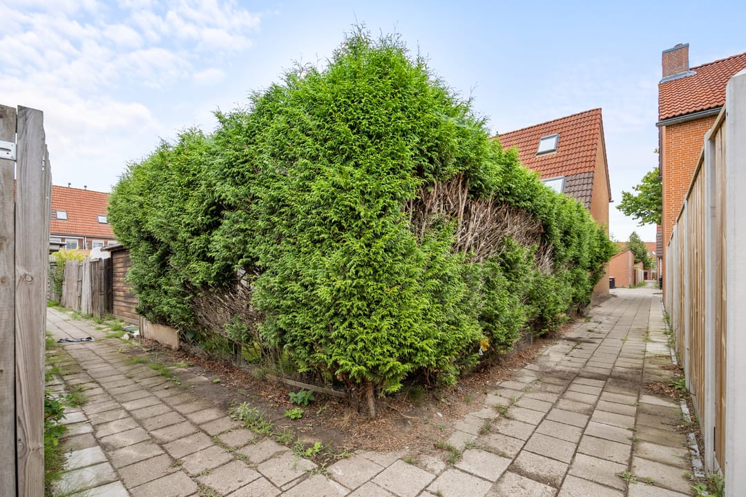 Foto 32 van Kamp 33 10