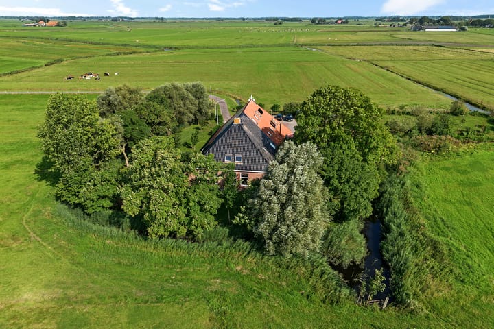 Hilaerdermieden 1 main image