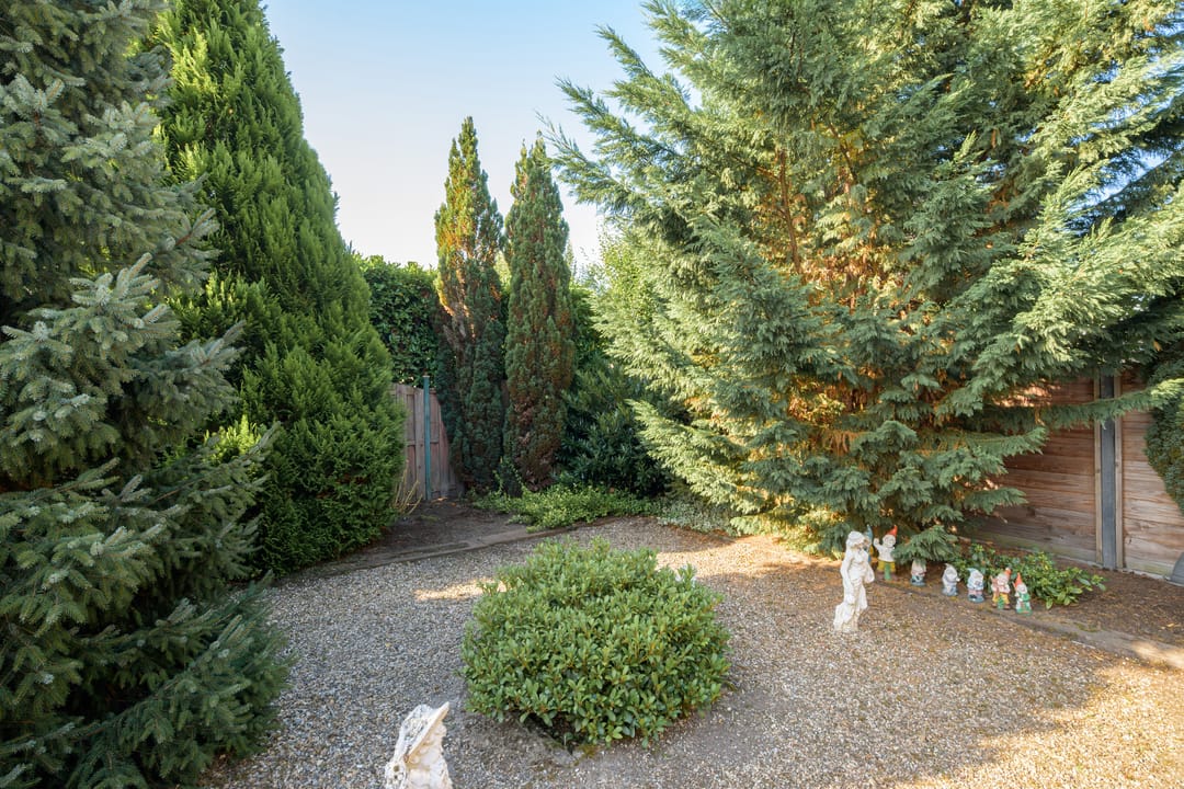 Foto 31 van Vroenhoutstraat 6