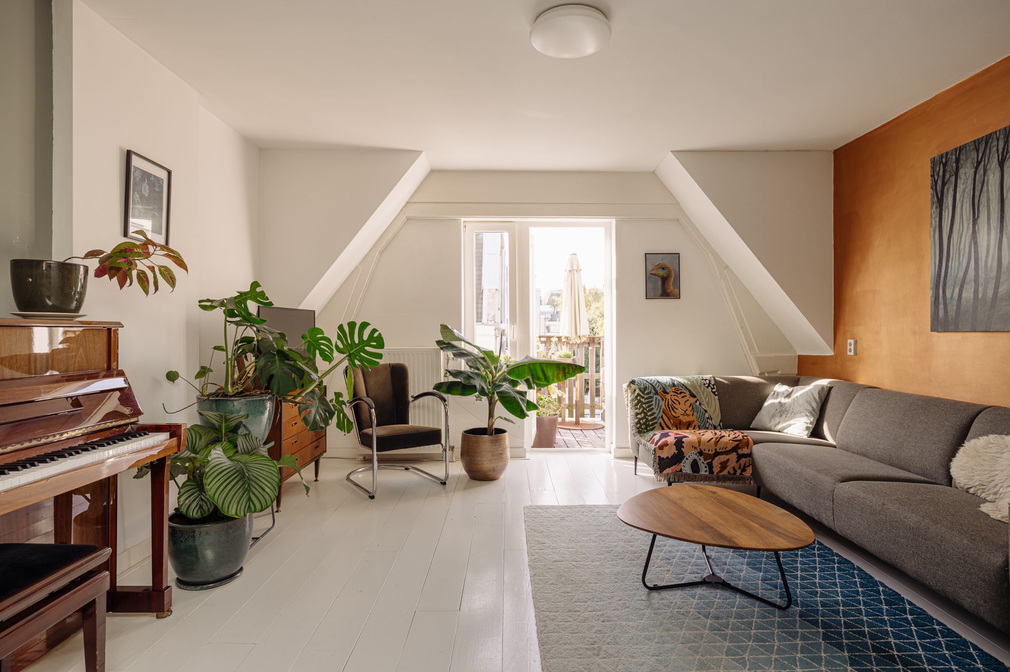 Foto 3 van Eerste Boerhaavestraat 14-2