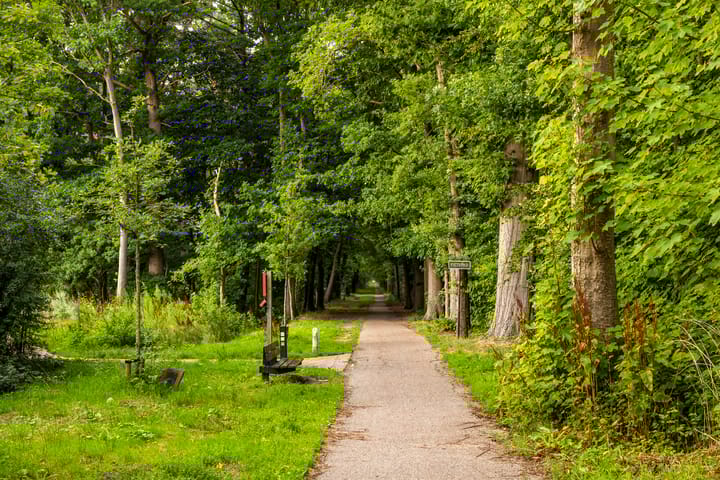 Foto 43 van Torendreef 2