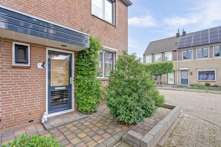 Foto 6 van Speenkruid 23