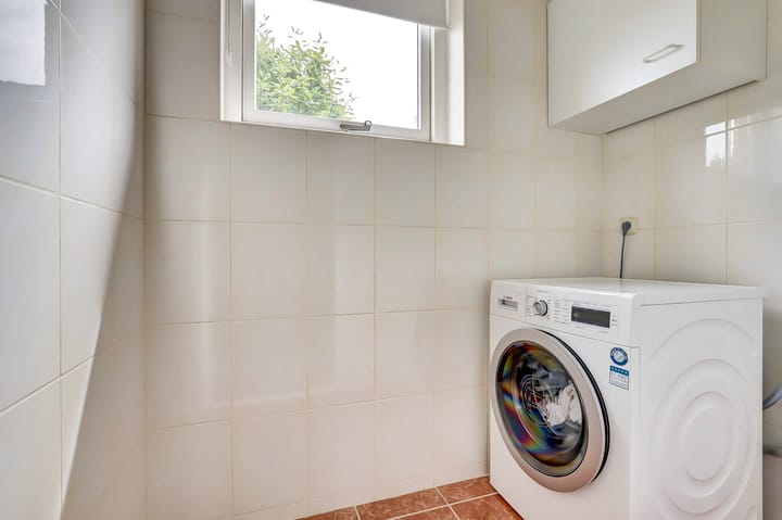 Foto 24 van Speenkruid 23