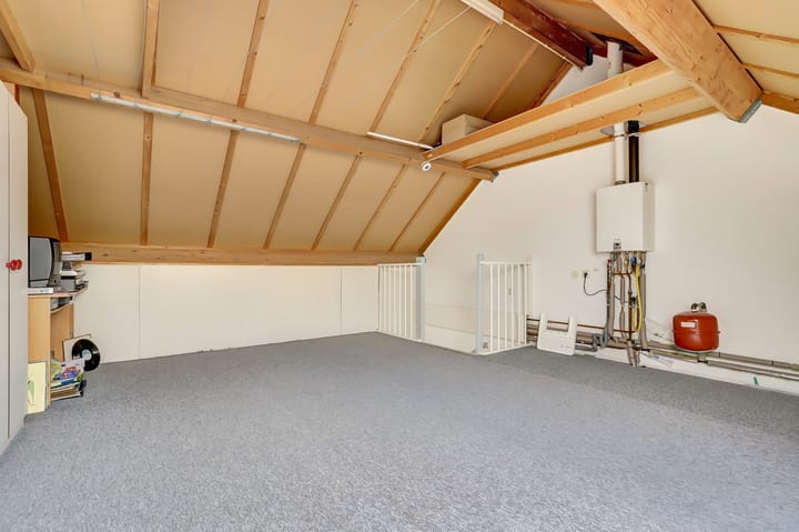 Foto 29 van Speenkruid 23