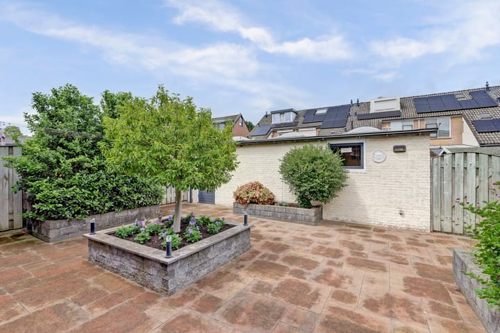 Foto 31 van Speenkruid 23