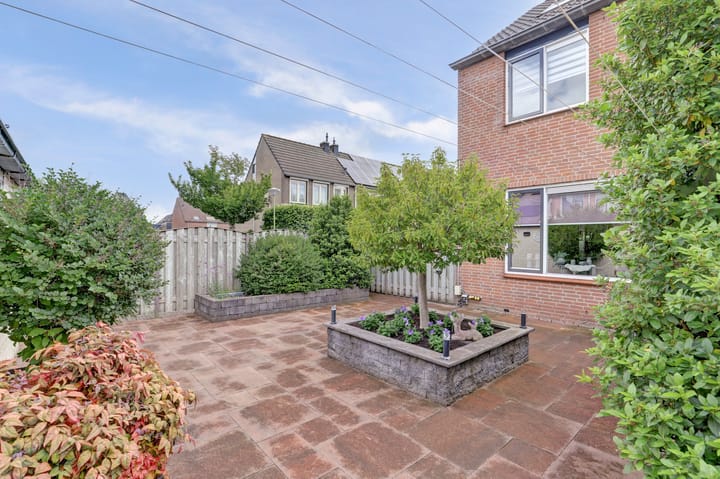 Foto 32 van Speenkruid 23