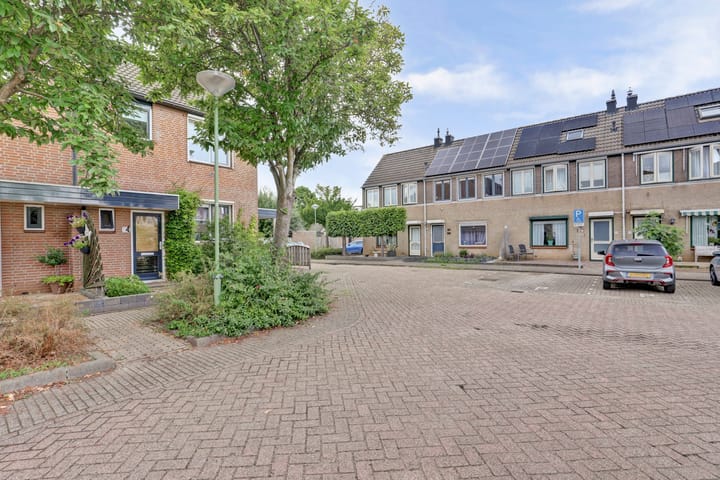 Foto 33 van Speenkruid 23