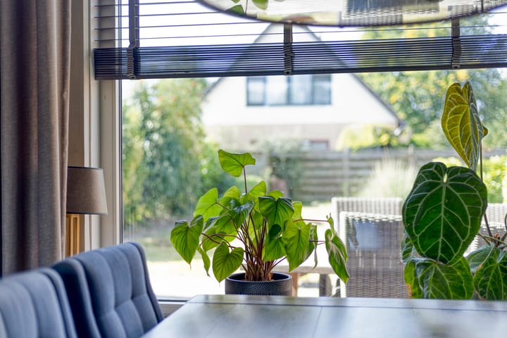 Foto 10 van van Aylvalaan 15