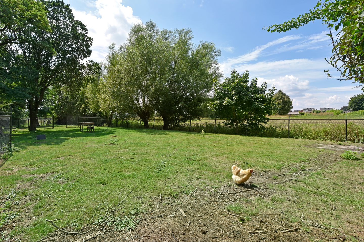 Foto 59 van Hoofdstraat 172