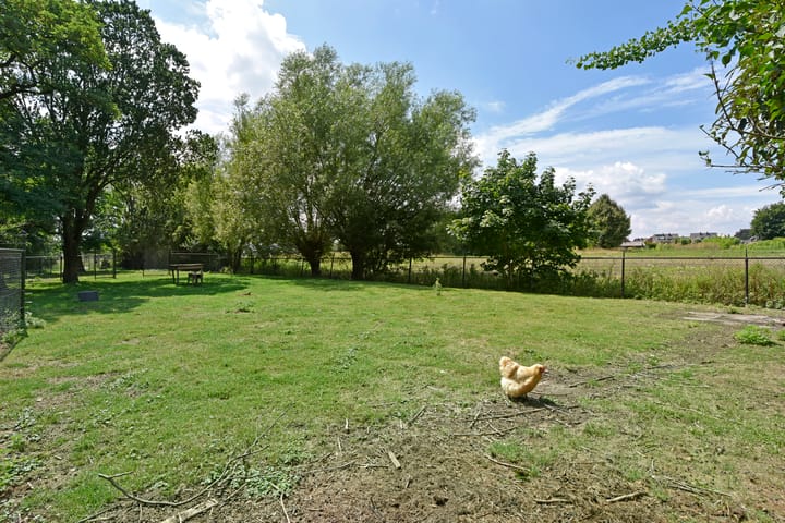 Foto 59 van Hoofdstraat 172