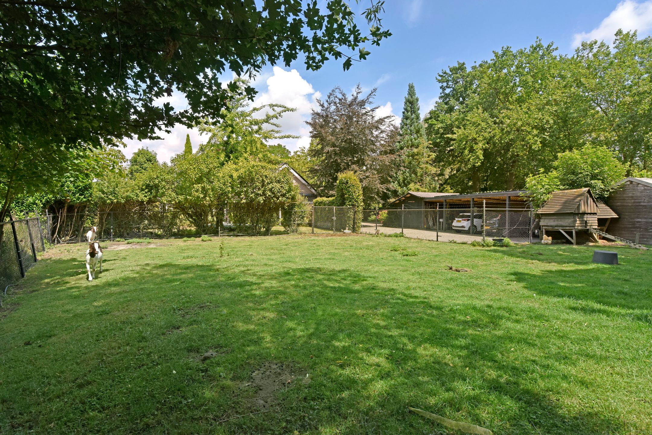 Foto 60 van Hoofdstraat 172