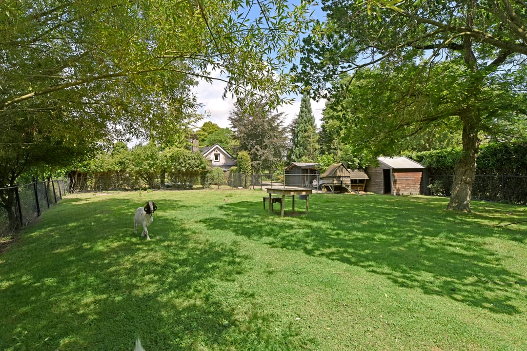 Foto 61 van Hoofdstraat 172