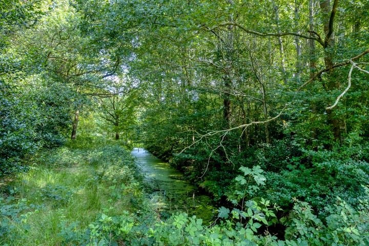 Foto 45 van van Aylvalaan 15