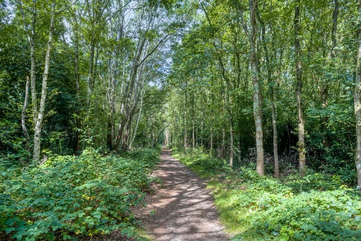 Foto 46 van van Aylvalaan 15