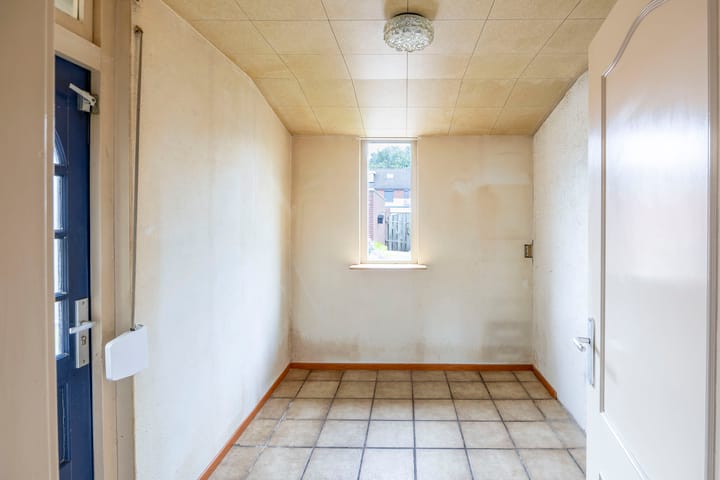 Foto 13 van Lelie 13