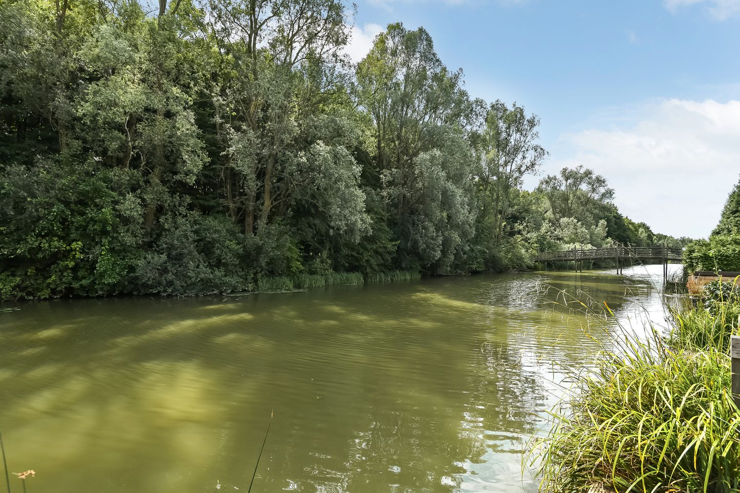 Foto 50 van Emily Brontësingel 39