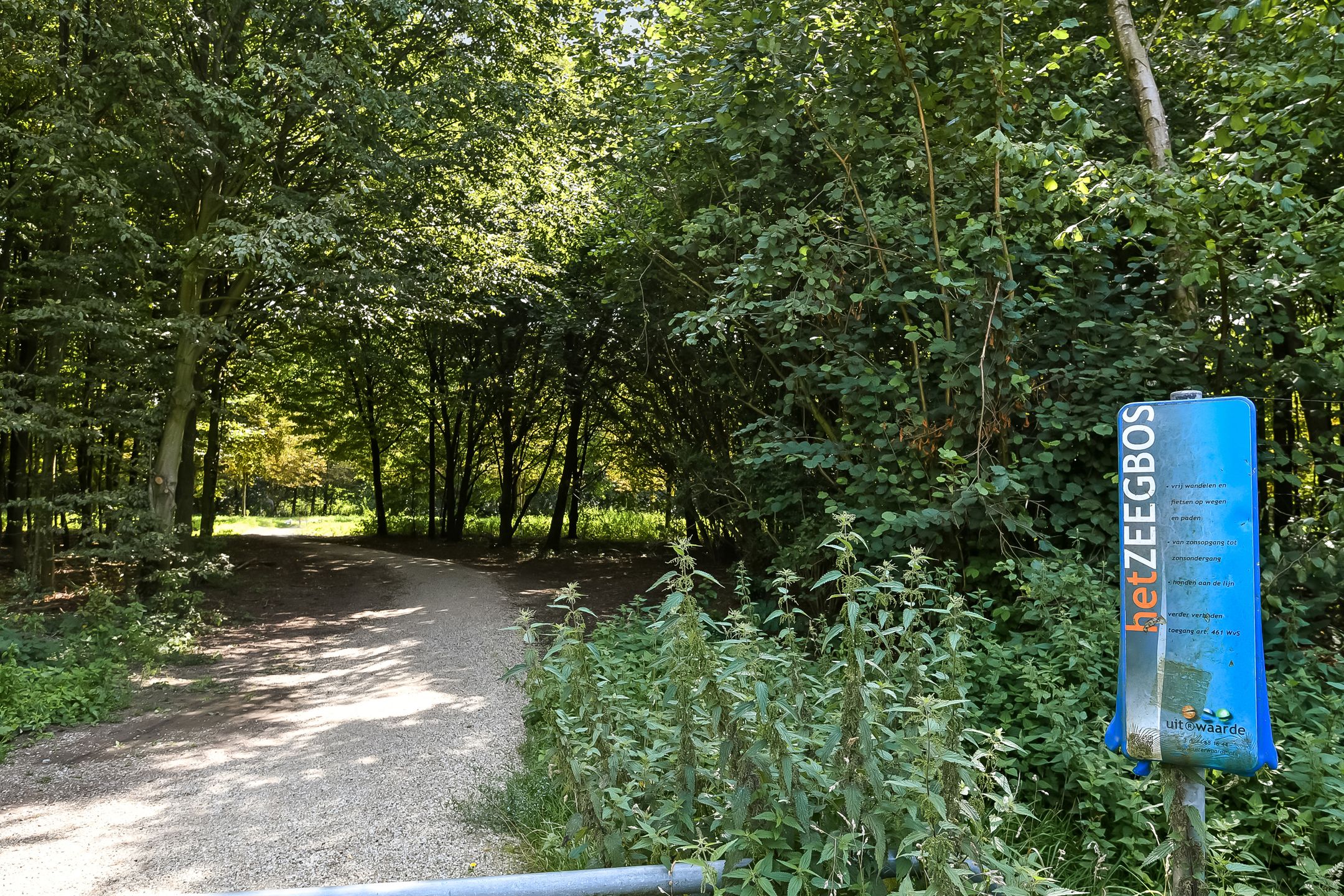 Foto 54 van Emily Brontësingel 39