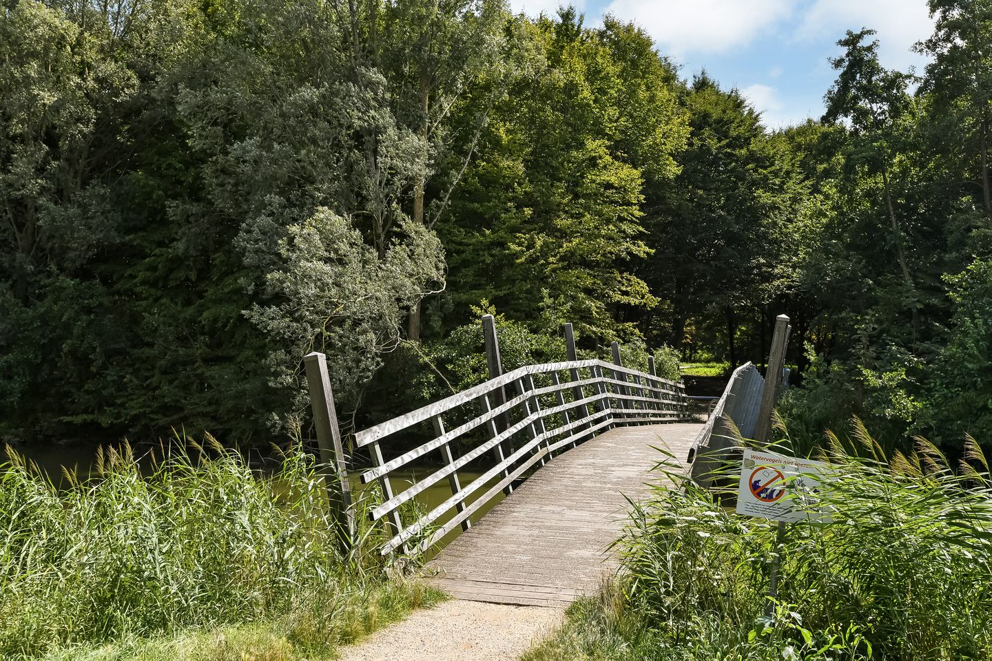 Foto 55 van Emily Brontësingel 39