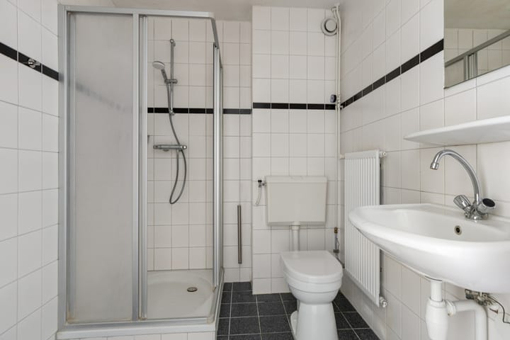 Foto 3 van Stinzenflora 78