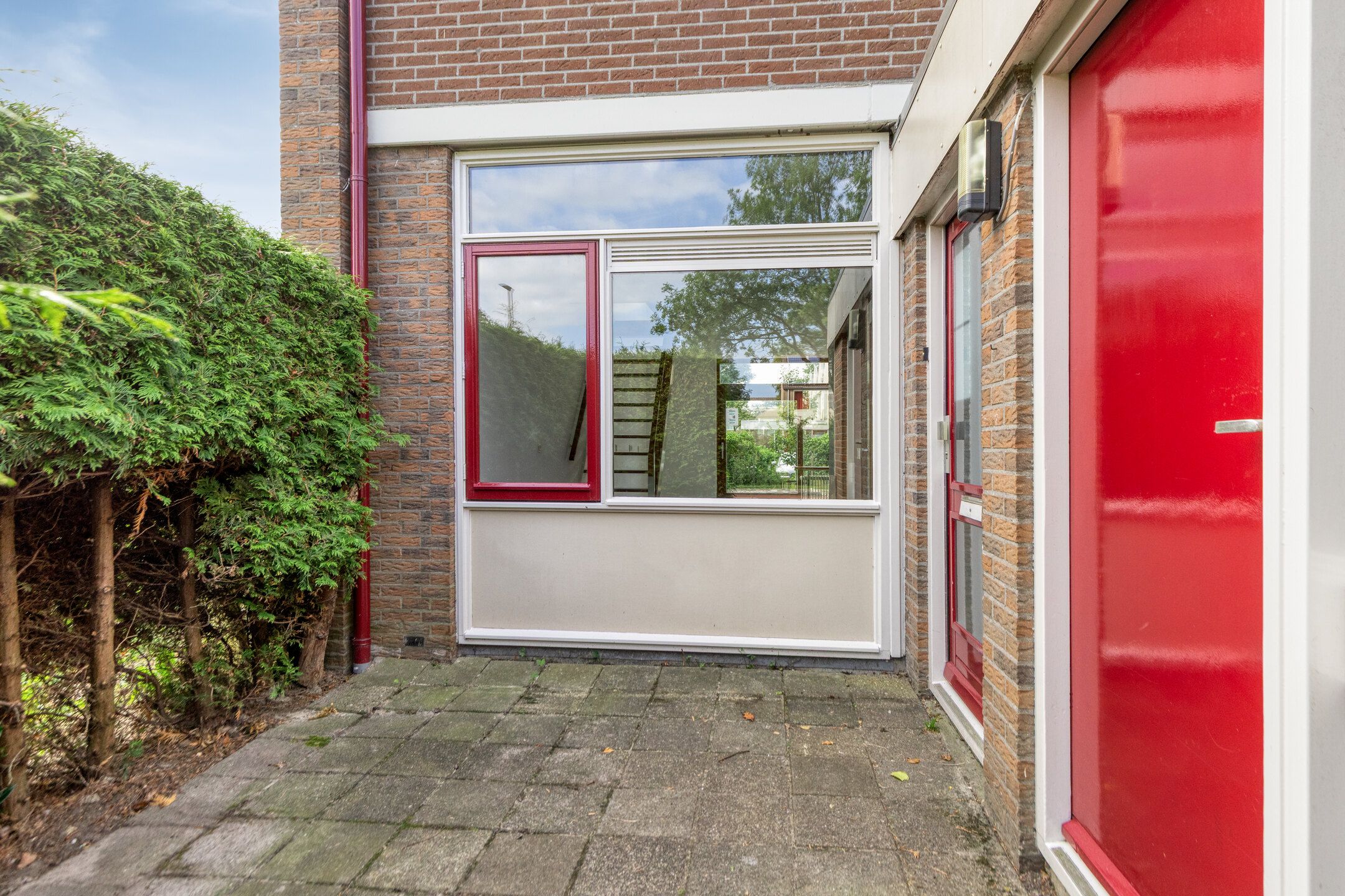 Foto 6 van Stinzenflora 78