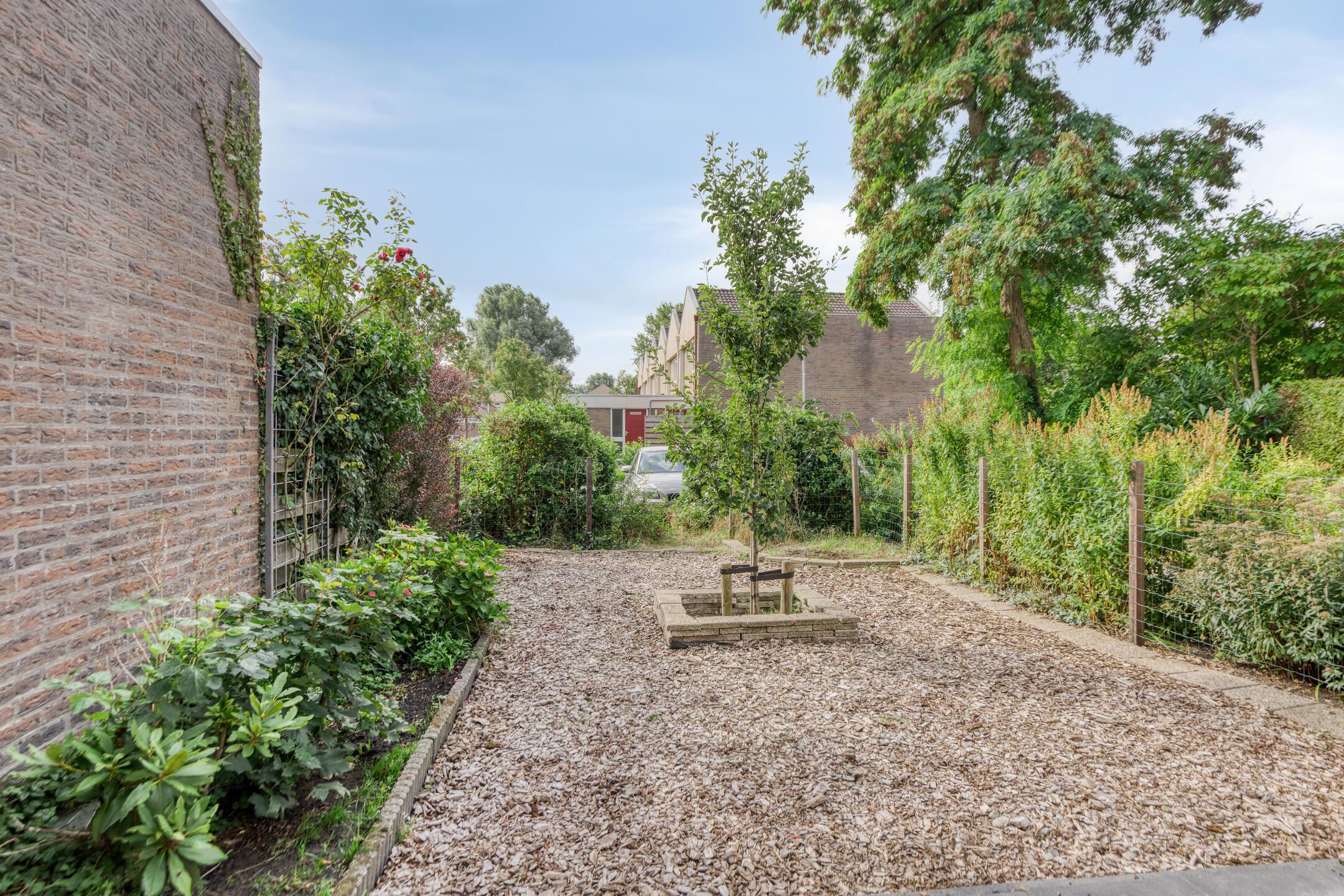 Foto 36 van Stinzenflora 78