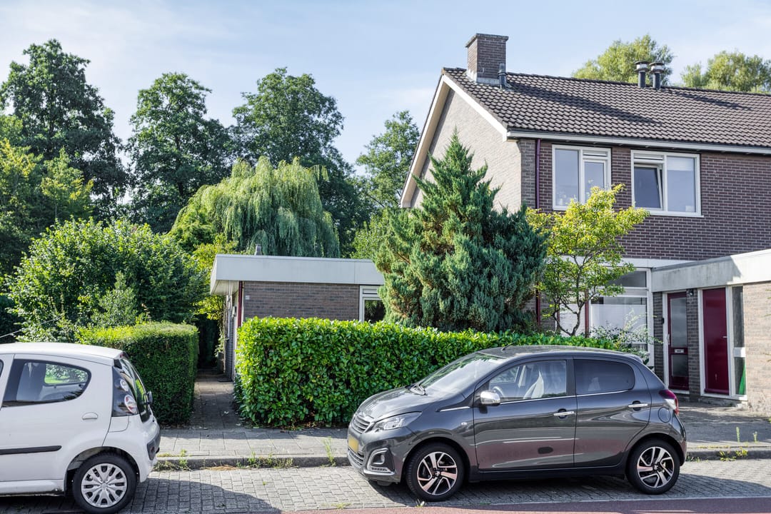 Foto 1 van Stinzenflora 60