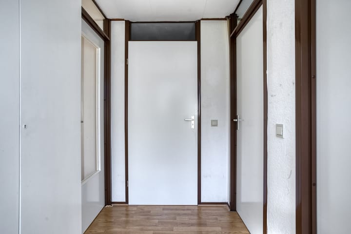 Photo 7 of Stinzenflora 60