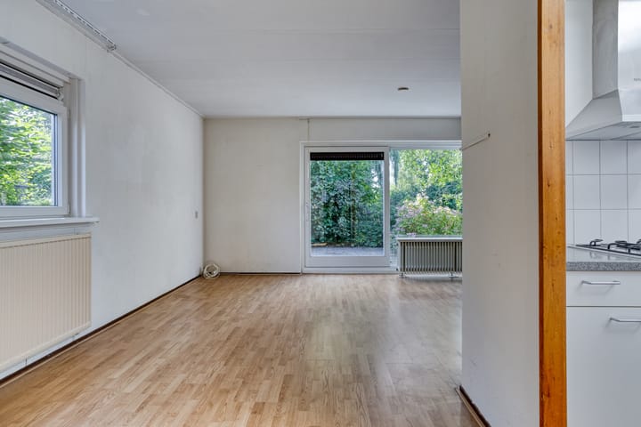 Photo 8 of Stinzenflora 60