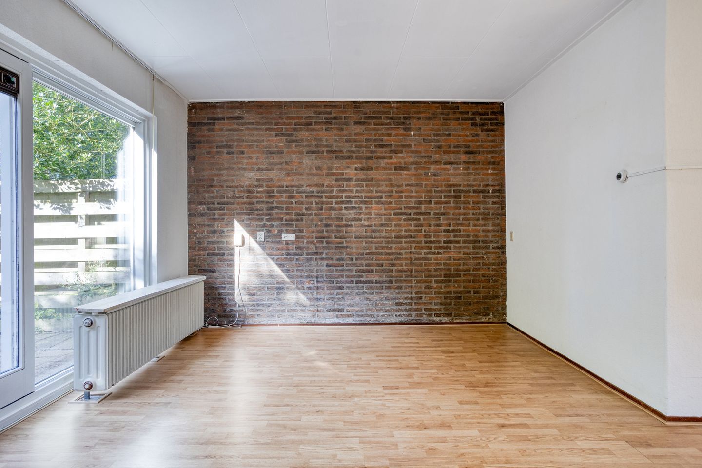 Foto 10 van Stinzenflora 60