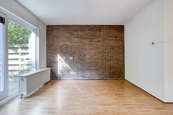 Photo 10 of Stinzenflora 60