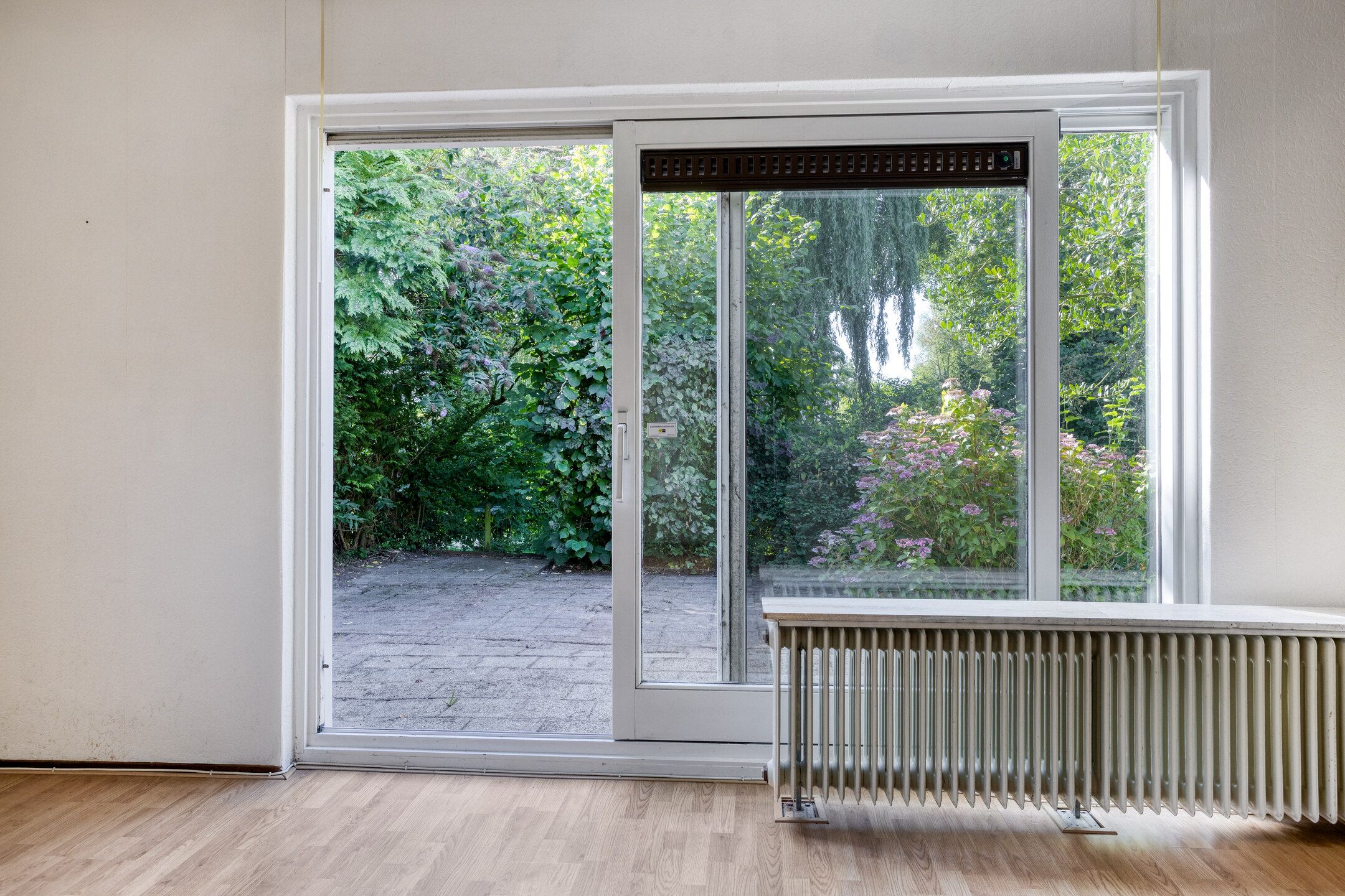 Foto 12 van Stinzenflora 60