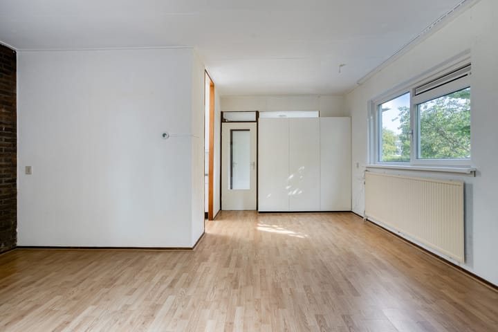 Photo 13 of Stinzenflora 60